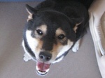 070811b.jpg