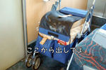 100109a.jpg